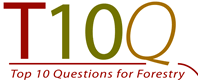 t10q