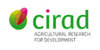 cirad logo